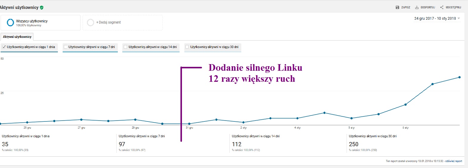 wzrost ilości wejść na stronę www